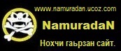 NamuradaN